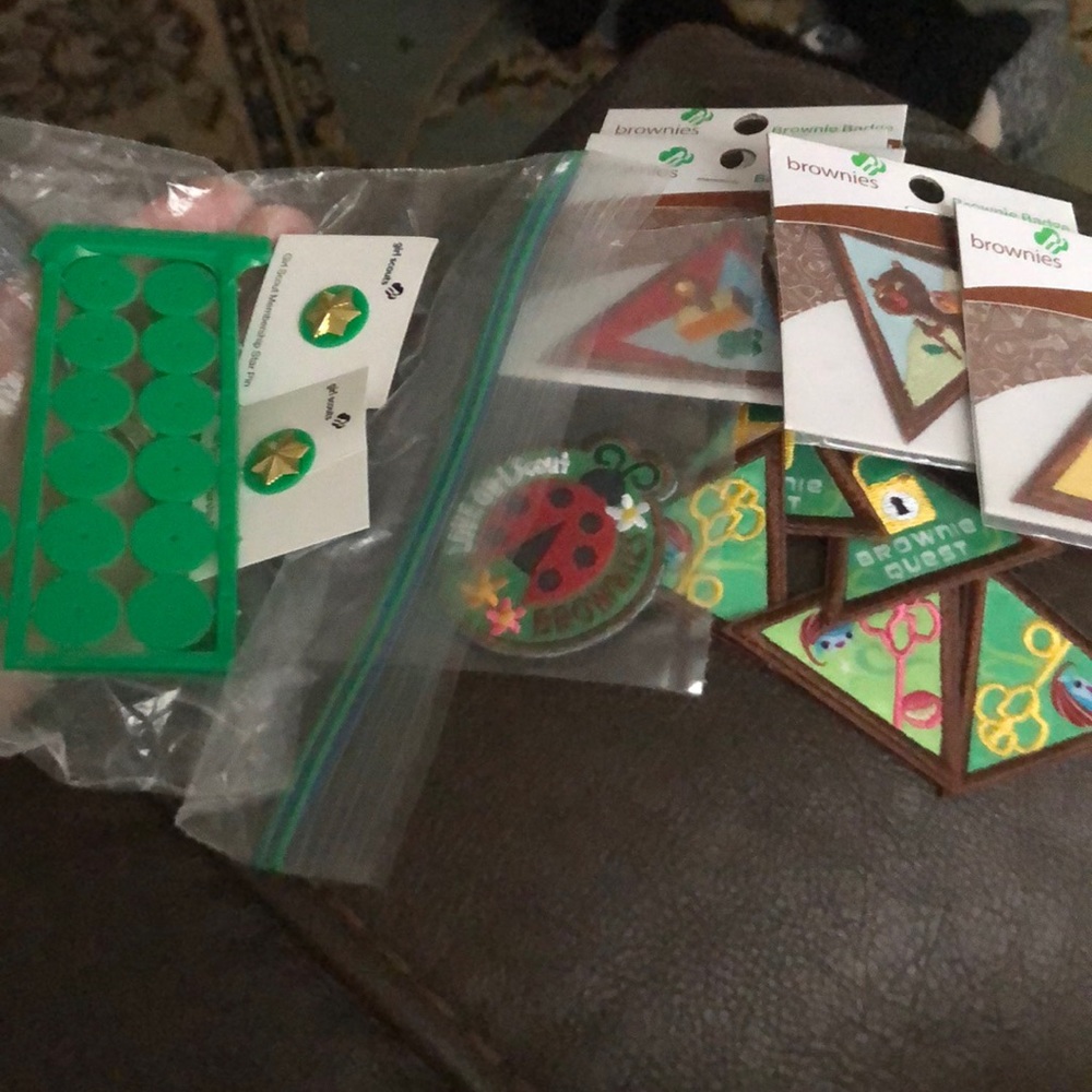 Girl Scout Brownie Badge and Pin lot